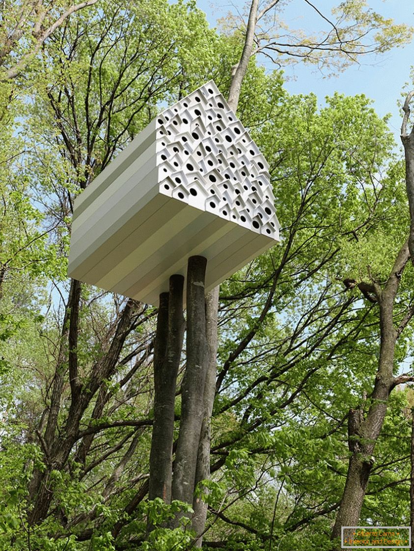Treehouse pre vtáky a ľudí (Япония)
