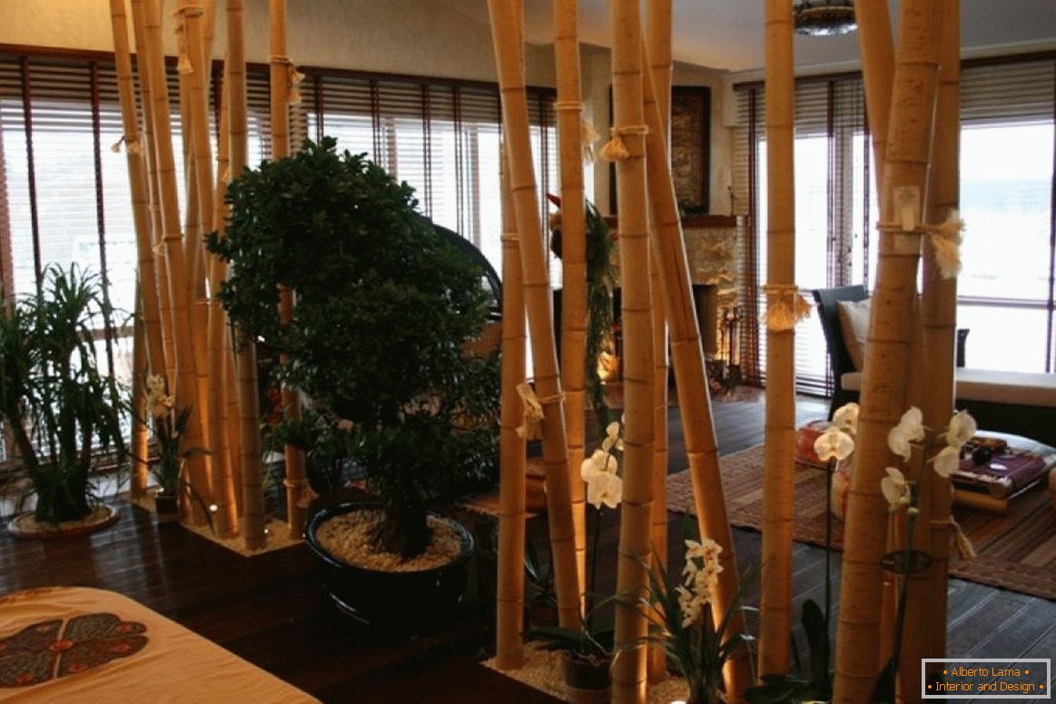 Bambusový oddiel