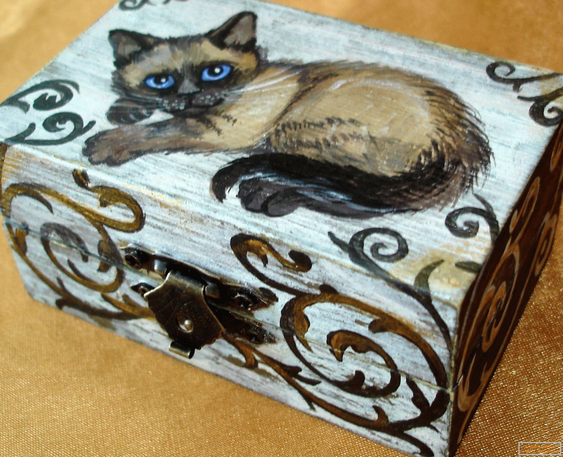 Mačka na krabici
