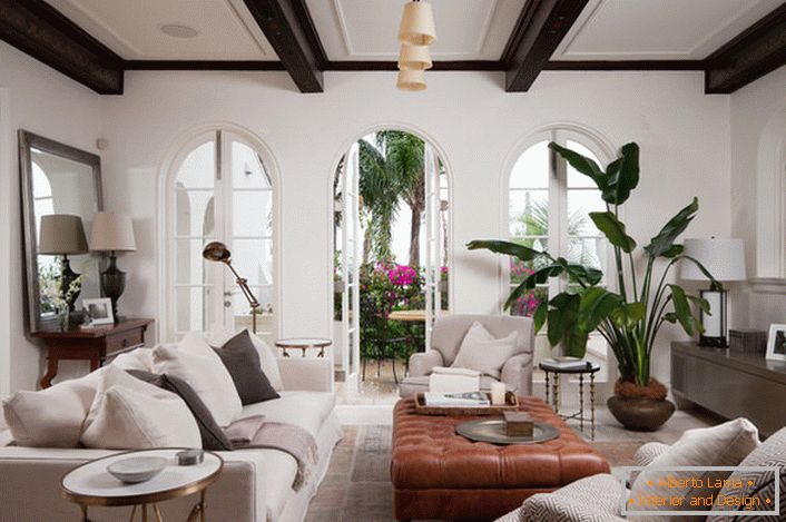 Комната для гостей оформлена в средиземноморском стиле. Elegantná interiérová výzdoba je veľká, rozľahlá zelená rastlina zasadená do keramického hrnca.