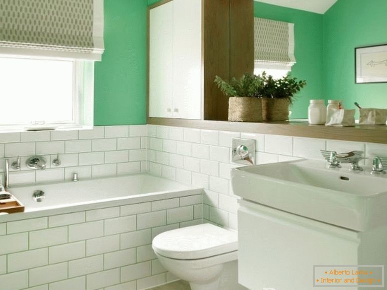 Biela zelená kombinovaná kúpeľňa