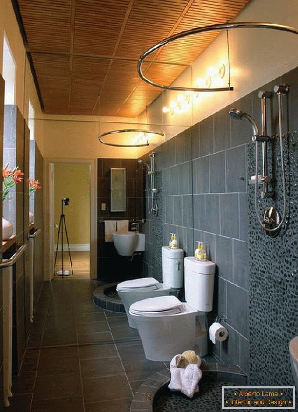 dizajn kúpeľní, v kombinácii s toaletou fotografie, foto 19