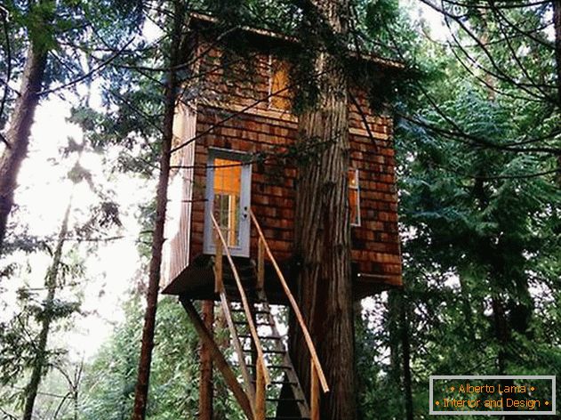 Dom na strome s rebríkom. Foto 1