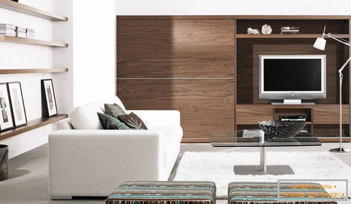 Obývacia izba je zariadená v súlade s moderným štýlom, ktorý vítá použitie dokončovacích materiálov prírodného pôvodu.