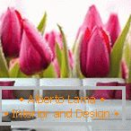 Púčiky tulipánov