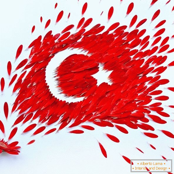Vlajka Turecka z okvetných lístkov kvetov