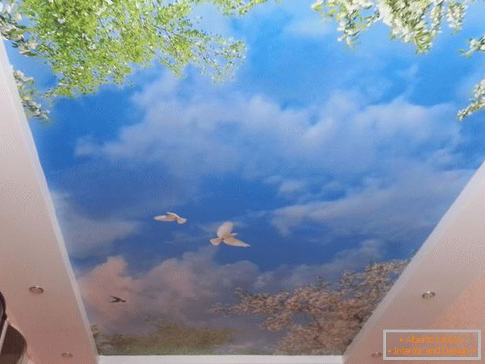 Stretnuté stropy s fotografickým potlačou sú vhodné v dizajne každej miestnosti. Harmonický obraz modrej oblohy s bielymi holubmi bude vyzerať obzvlášť atraktívne v hosťovskej izbe.