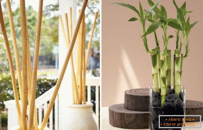 Bambus ako dekorácia