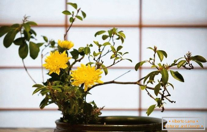 ikebana