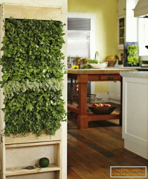 Zelené rastliny v kuchyni