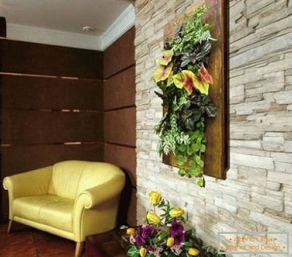Interiérové ​​rastliny na stenách