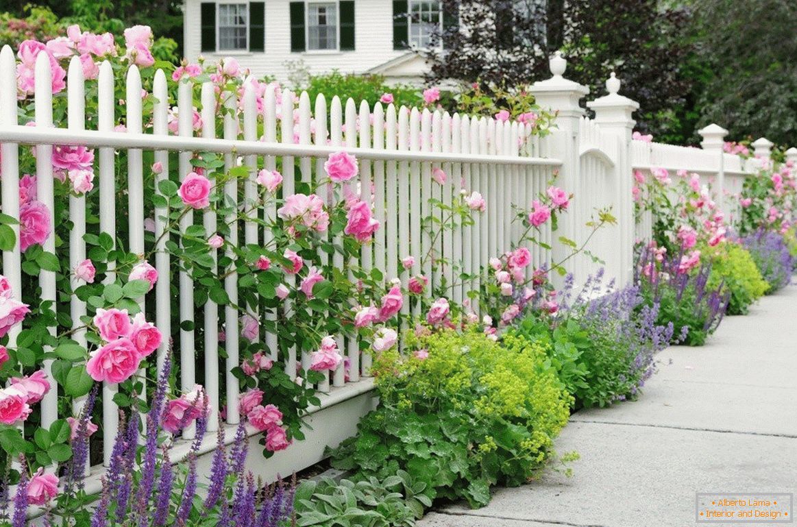 Biele plot s ružami