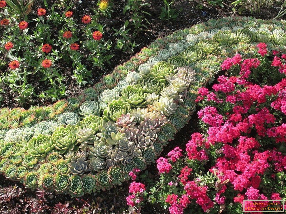 Dekorácia kvetinovej záhrady