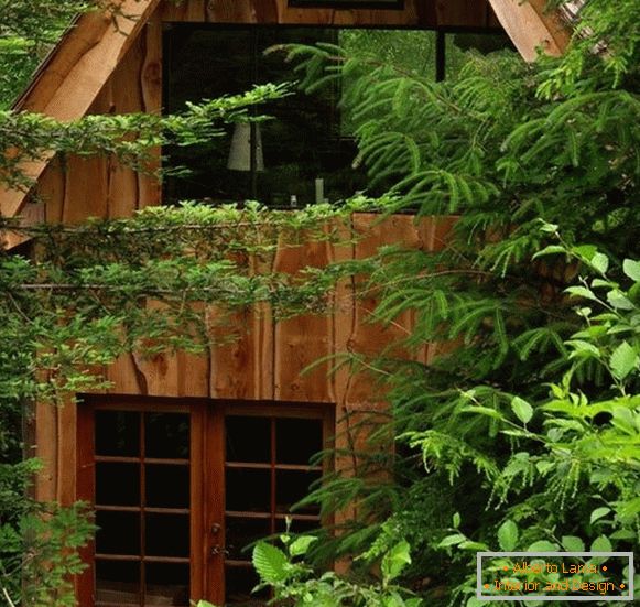 Malý lesný dom (fotka), США