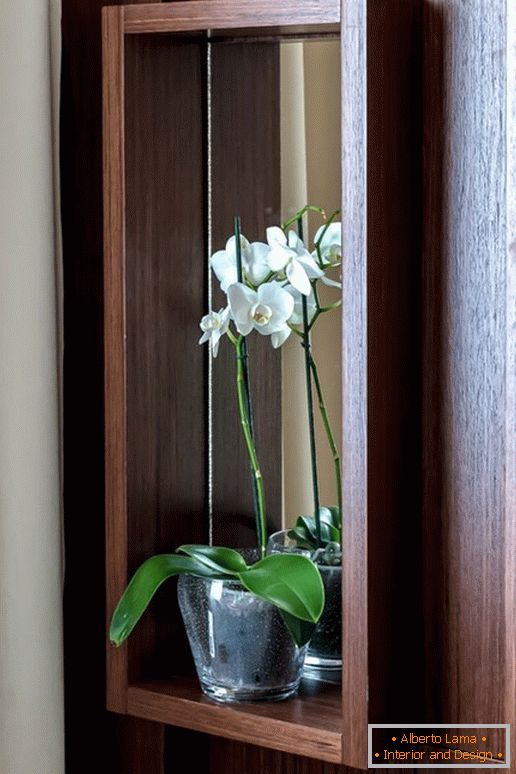 Orchidea v kuchyni s účinkom optickej ilúzie