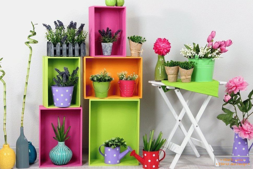 Vázy pre deti s korenistými rastlinami