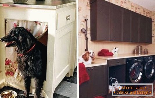 Miesto pre psa v kuchynskej skrini