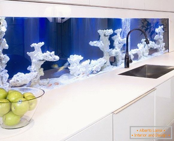 Akvárium s koralmi v kuchyni