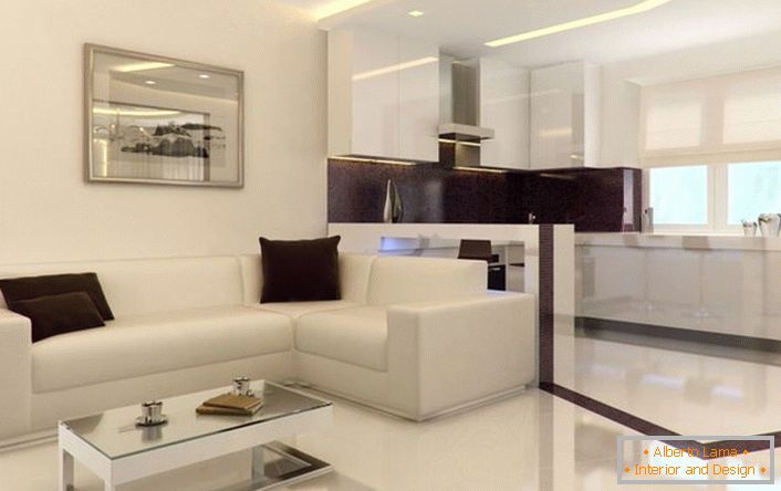 Štúdiový apartmán v štýle minimalizmu je priestranný a svetlý. Nadbytočné dekoratívne prvky interiéru nepreťažujú interiér.