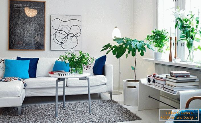Juicy akcenty modrej a tyrkysovej organickej vzhľad na pozadí bielej dekorácie obývacej steny. V súlade so štýlom v dizajne miestnosti použité kvety.
