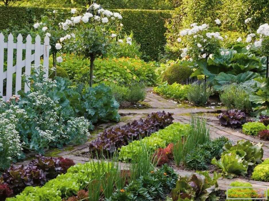 Záhrada a záhrada