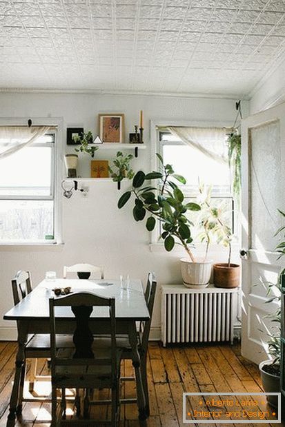 Rastliny v interiéri jedálne