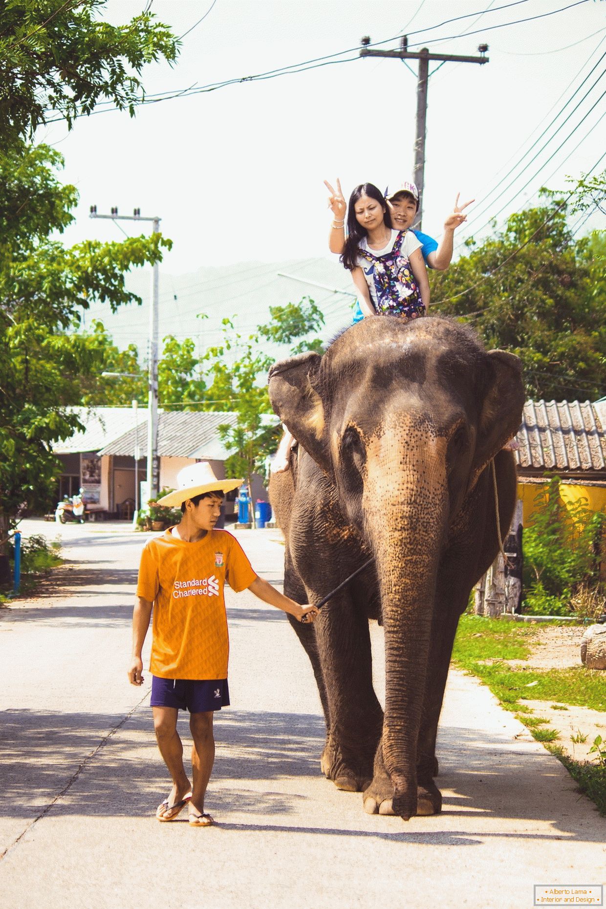 Cestovanie na slon
