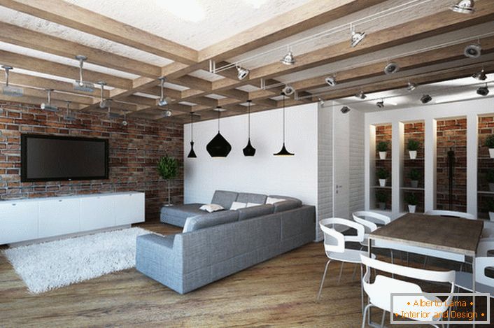 Návrh bytu v podkrovnom štýle je pozoruhodný pre svoju praktickosť. Minimálny počet nábytku robí miestnosť priestrannou a svetlou.