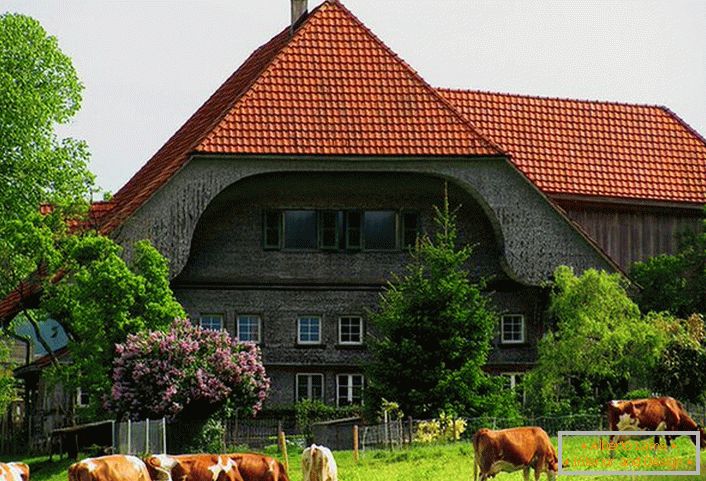 Alpský vidiecky dom