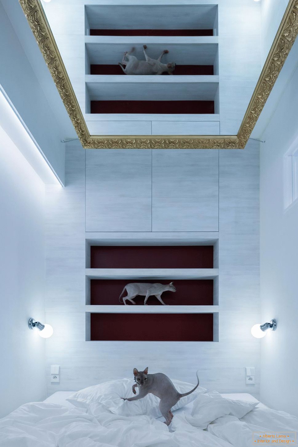 Moderný dizajn malého bytu - mačky v interiéri