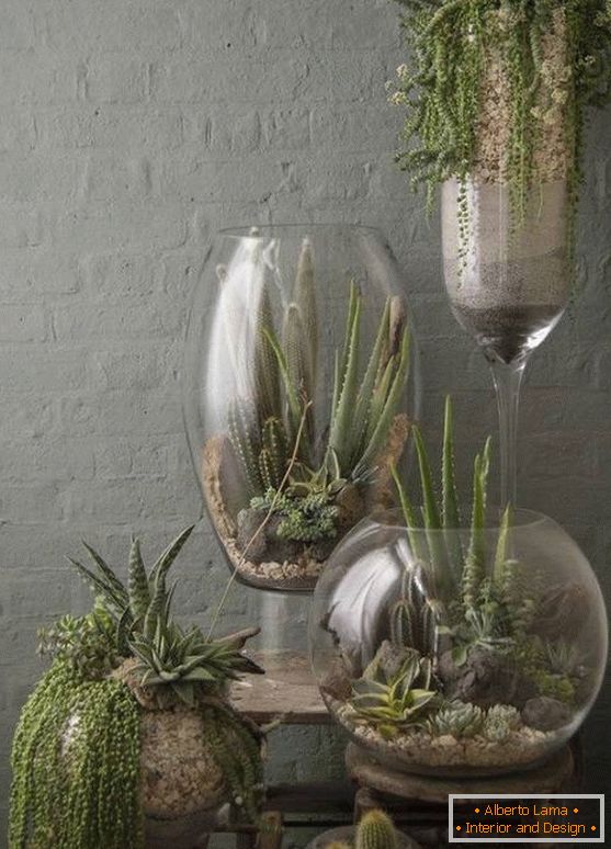 Rastliny vo veľkých sklenených vázach