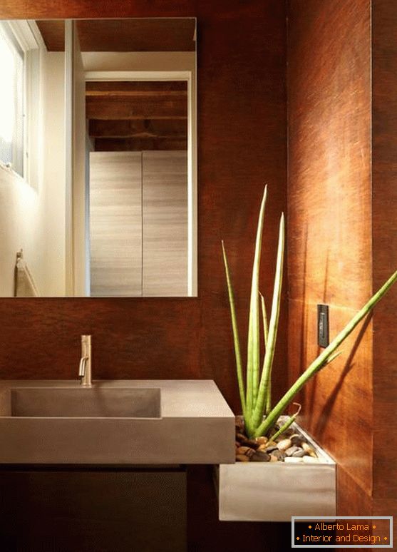Aloe vera v modernej kúpeľni