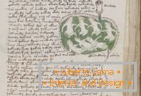 Tajomný rukopis Voynicha