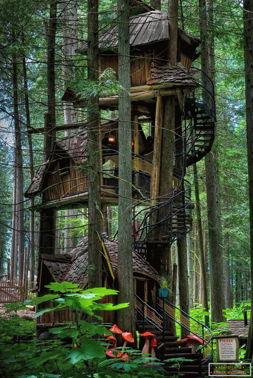 Three Story Treehouse (Britská Kolumbia, Kanada)