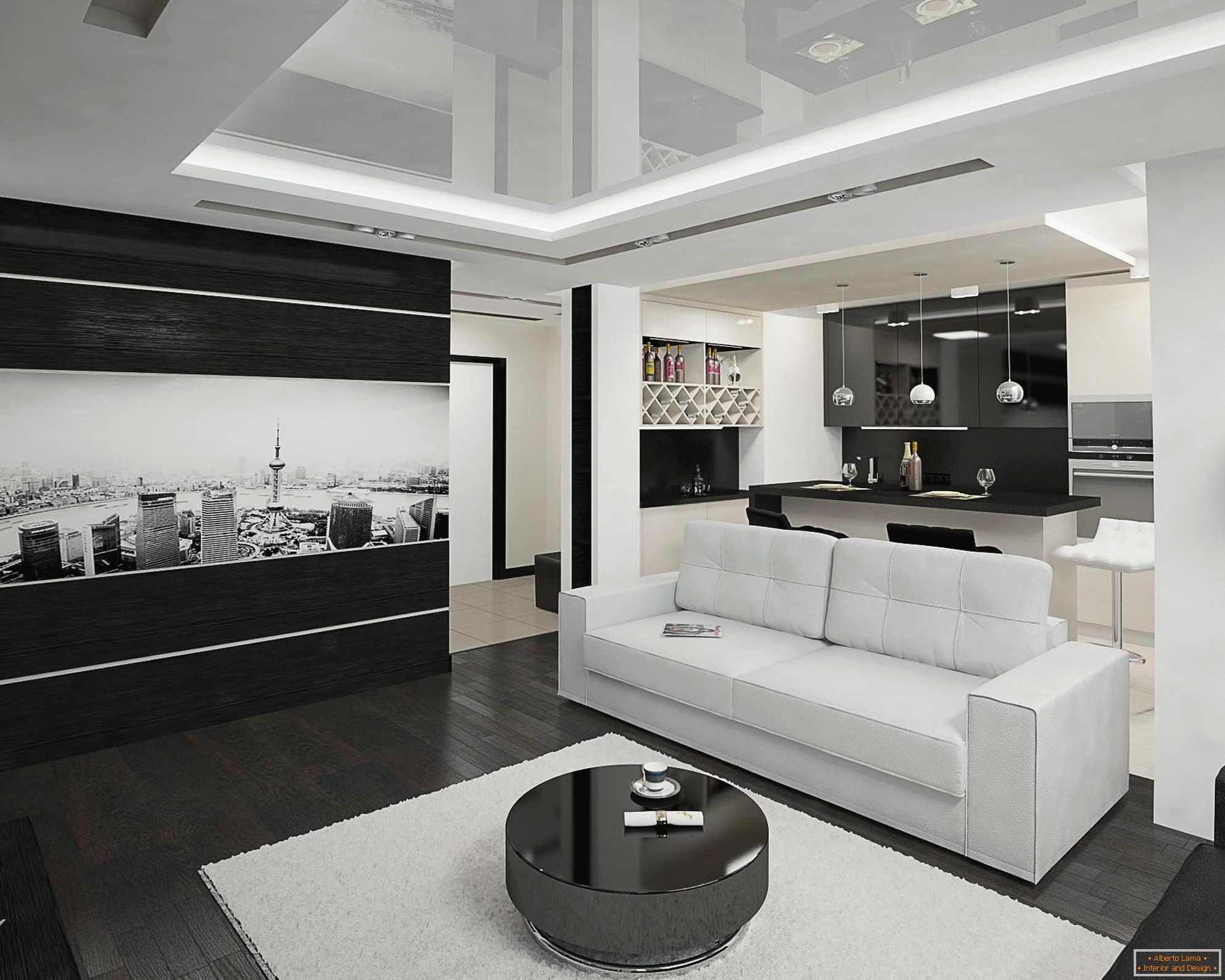 Čiernobiela kuchyňa a obývacia izba interiéru na 20 metrov štvorcových