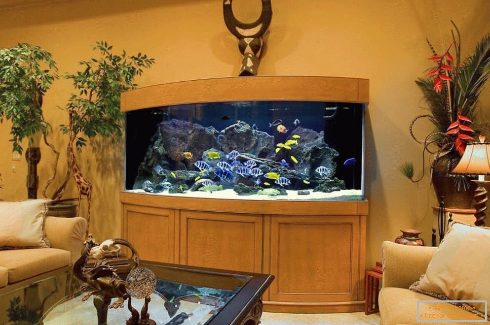 Krásne akvárium в гостиной