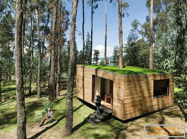 Malý dom v lese s mešovou strechou