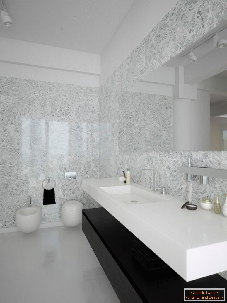 black-white-contemporary-kúpeľroom-design