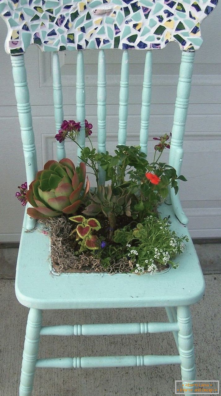 Kvetinové usporiadanie v sedle sedačky