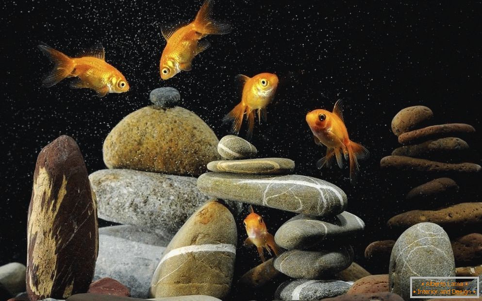 Dekorácia akvária kamienkami