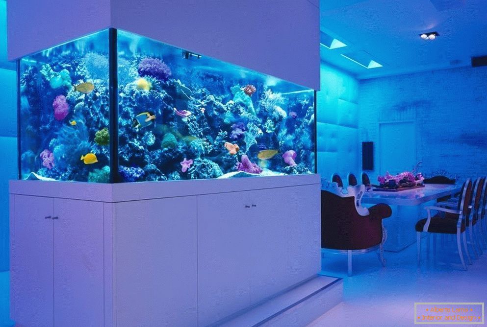 Morské akvárium využívajúce živé koraly 
