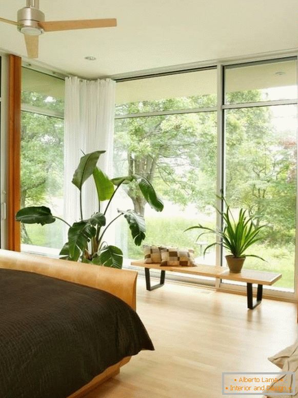 Veľké okná a rastliny v črepníkoch v spálni