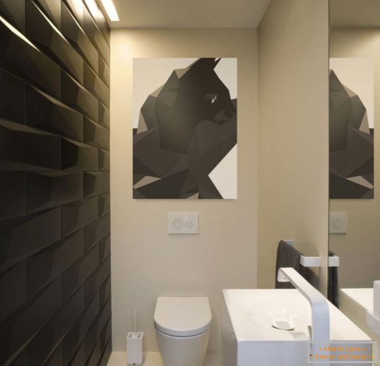 Návrh wc - 150 fotografií príslušného interiéru v toalete