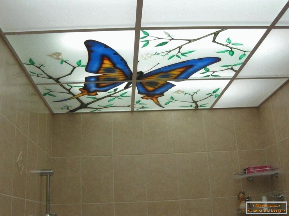 Motýľ na strop