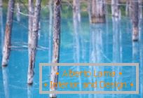 Modrý rybník Hokkaido