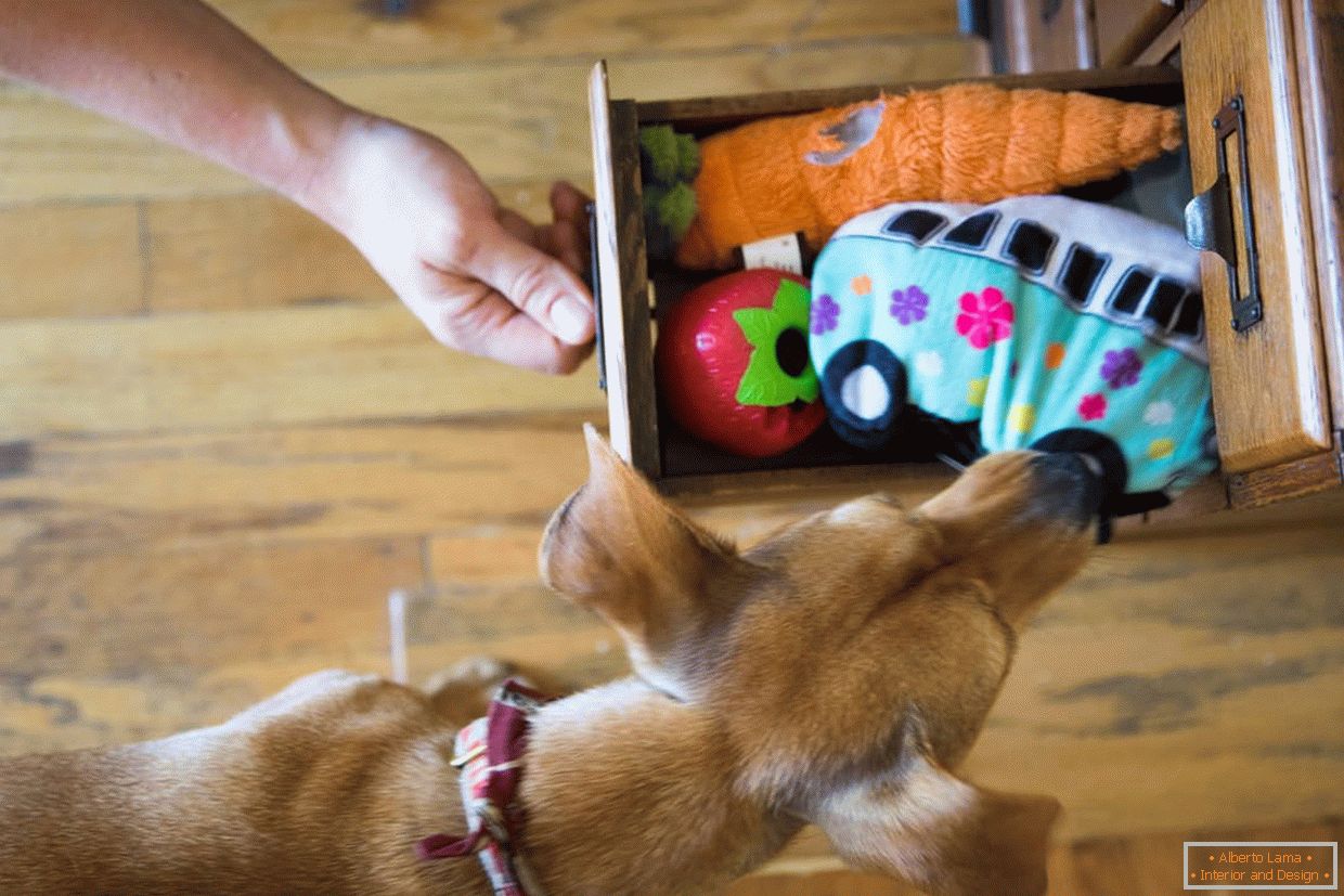 Box s hračky pre psov