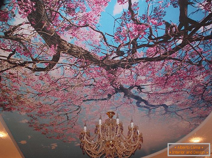 Kvitnúce čerešňové kvety sú často používané modernými dizajnérmi na zdobenie stropov. Skutočné riešenie pre registráciu hosťovskej izby alebo sály.