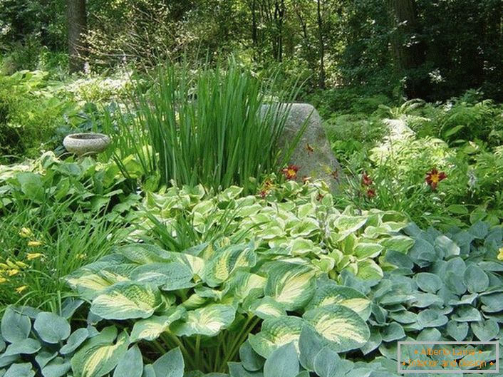 Stinná časť záhrady s kompetentným výberom kríkov, poteší šťavnatý zelený ostrov a pokojné farby kvetov.
