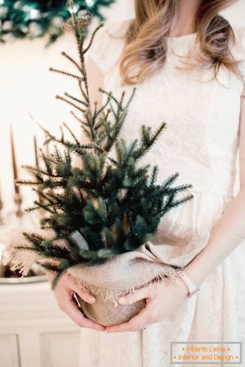 Vianočný strom v hrnci