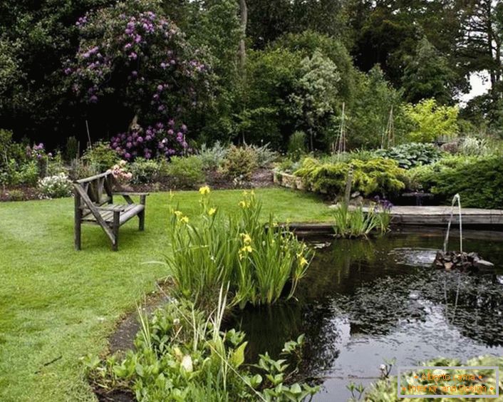Krajinný dizajn záhrady v útulnom vidieckom štýle (52 fotografií)